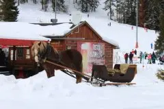 Hotel & Janska Koliba Strachanovka