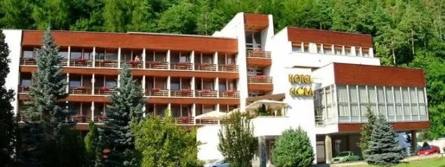 Hotel Flora